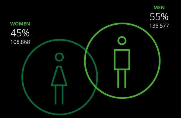 Hình 3: Số lượng nhân viên phân chia theo giới tính tại Deloitte năm 2016