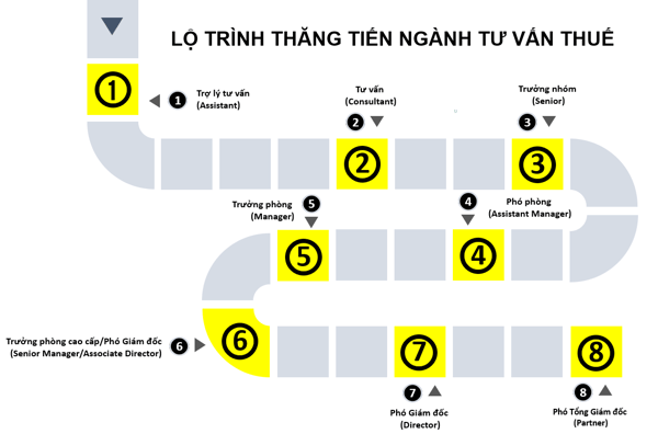 Lộ trình thăng tiến ngành tư vấn thuế