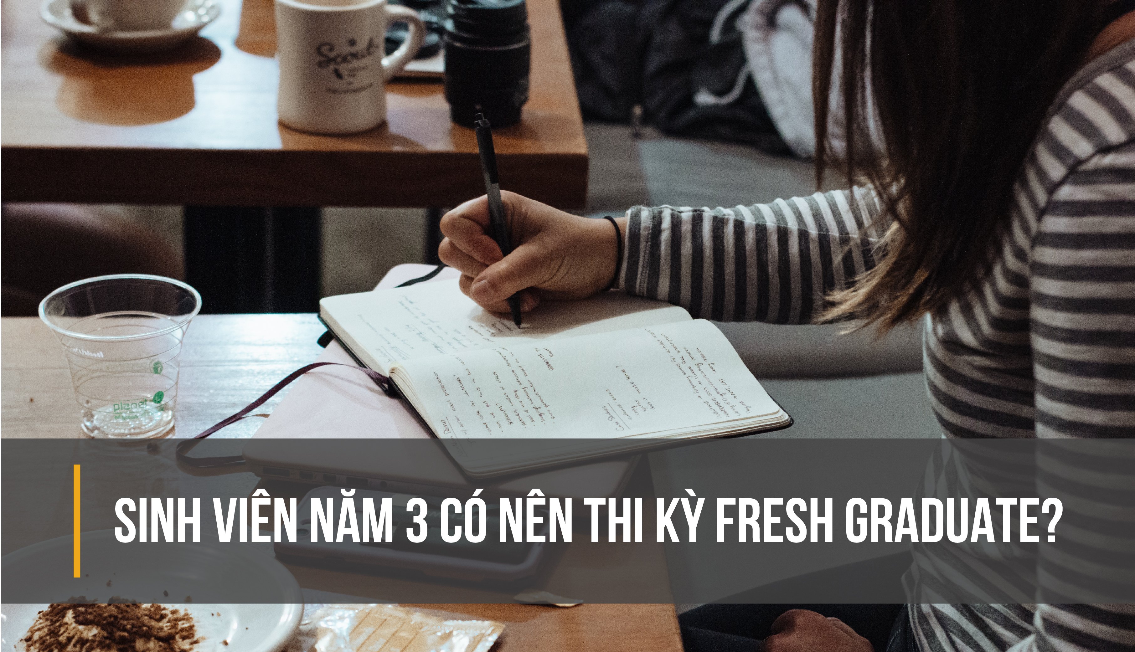 Sinh viên năm 3 có nên thi BIG4 kỳ Fresh Graduate