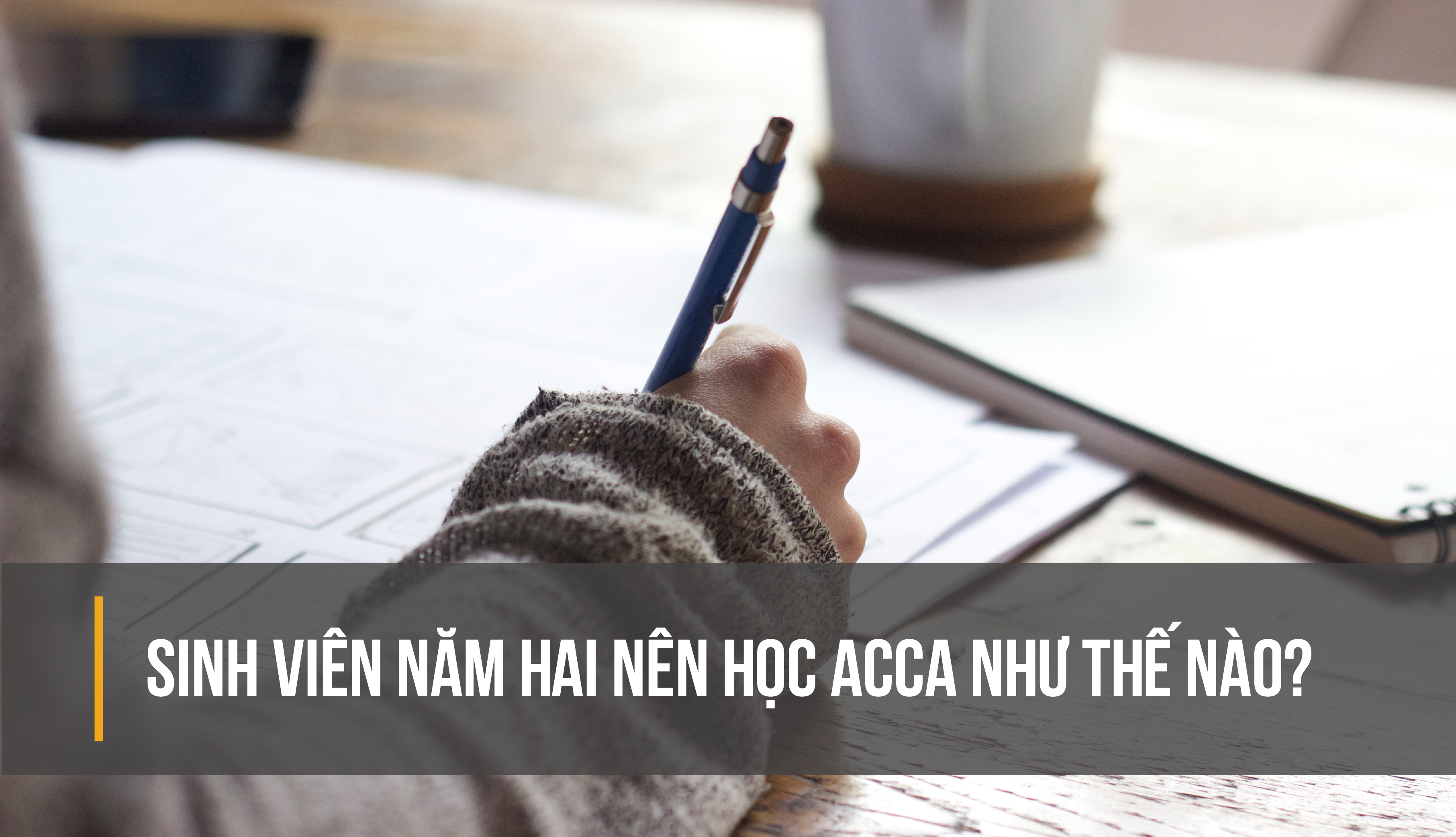 Sinh viên năm 2 nên học ACCA như thế nào-01